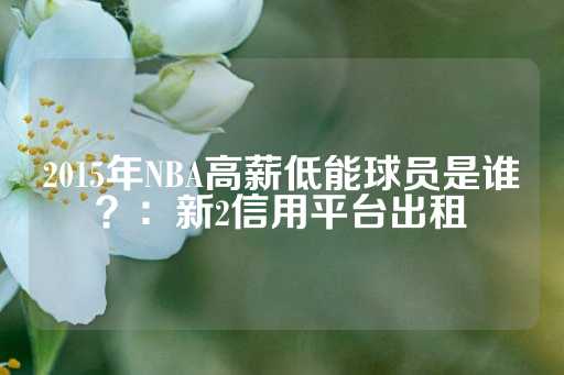 2015年NBA高薪低能球员是谁？：新2信用平台出租-第1张图片-皇冠信用盘出租